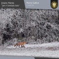 Pierre Gallon - Partita in G Major, Hob. XVI:6: IV. Finale. Allegro molto
