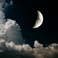 Massage Music、Deep Chillout Music Masters、Relaxing Spa Music Zone - All Together