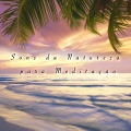 Soothing Motion - Enter the Dream