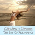 Chakra's Dream - Idyllic Moments