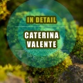 caterina valente - Moonlight In Vermont