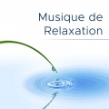 Sleep Songs with Nature Sounds - Musique Ambiance Détente