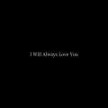 Whitney Houston - I Will Always Love You (instr)