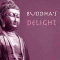 Wellness Shades - Standing Buddha