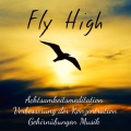 Healing Massage Music Masters - Ayurveda