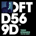 Todd Edwards - You're Sorry