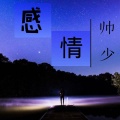 帅少 - 感情