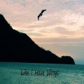 Naliisa、Andrew - Like I Have Wings (feat. Naliisa)