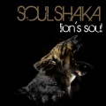 Soulshaka - Take You Higher