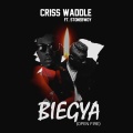 Stonebwoy、Criss Waddle - BieGya (Open Fire|Explicit)