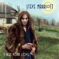 Steve Marriott、the moments - You Really Got Me
