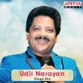 Udit Narayan、Anuradha Paudwal - Nenugaali Gopuram (From 