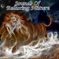White Noise Therapy、White Noise Meditation、El Ruido Blanco - Echoes Of Awareness