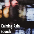 Zen Music Garden、White Noise Research、Nature Sounds - A Gathering Storm
