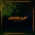 OBLADAET、Footsie、I1 - Never Dat (Explicit)