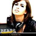 Joe Maker、MC Bros - Summer Feeling (Sergio Sergi Remix)