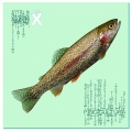 Xiutek、Shamoozey、Kamoflage - Cheap Rap Inc
