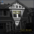 Cut Knob - David Icke Is My Neighbor