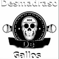 HIGH SQUAD、Destino - Qué Nos Van a Contar