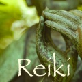 Sonidos Naturales Relax - Musicas Relajantes