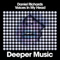 Daniel Richards - Voices in My Head (DubMix)