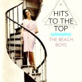 The Beach Boys - Your Summer Dream