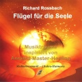 Richard Rossbach - Licht und klang