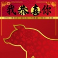MFM、赵倪生、杨淑芬、何俊瑩 Hayyim Ho、苏菲、高菁 - 我恭喜你
