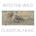 Boris Khaikin、Kirov Opera and Ballet Theatre Symphony Orchestra - Swan Lake, Act II, Op. 20, TH 12: No. 13, Dances of the Swans, Pt 4. Allegro moderato 