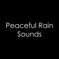 The Rain Library、Sleep Sounds of Nature、Rain Sounds、Rain Sounds & White Noise、White Noise - Hunker Down