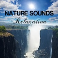 Nature Sounds Relaxation - Nature Sounds: Water