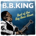 B.B. King - Did You Ever Love a Woman