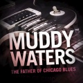 Muddy Waters - I Want To Be Loved
