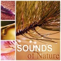 Natural Silk Music Paradise - Natural White Noise