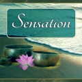 Healing Oriental Spa Collection - Lullaby Music