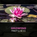 Meditation Therapy Society - Mindfulness Mantra Trance