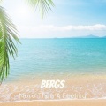 boston、Bergs - More Than A Feeling (Bergs Edit)