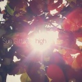 Sun Glitters - High
