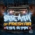 erick sermon - Typical Nigga