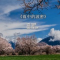 北枫、禹君 - 雨中的波密
