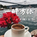 王亚楠、在忠 - 奇妙之旅 (DJ版)