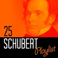Benedikt Kehlen、Trio Concertante、Franz  Schubert - Piano Trio No. 2 in E-Flat Major, Op. 100, D.929: II. Andante con moto