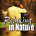 The Calming Sounds of Nature - Rain Shower in a Forest for Deep Sleep