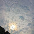 黄其淋 - 因为爱情「黄其淋（林墨）」