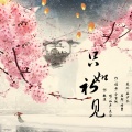 灰白 - 只如初见