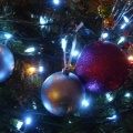 Haroula Rose - Christmas for Cowboys