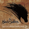 Chamber Orchestra - Theme From The Black Stallion