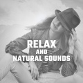 The Calming Sounds of Nature - Meditation