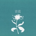 长泽陵川 - Flos