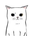 武功猫、南辰 - 偷偷